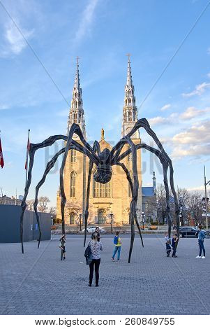 Ottawa, Canada - May 5, 2018: Spider Sculpture Maman And Notre-dame Cathedral Basilica In Ottawa In 