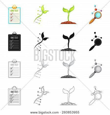 Vector Design Of  And  Symbol. Collection Of  And  Vector Icon For Stock.