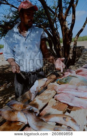 Vila Do Maio ,maio Island, Cape Verde - Jan 5 2016: Local Fisherman Cleaning The Catch In The Shade 