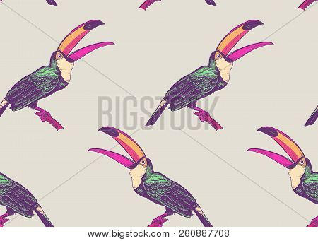 Birds Toucans On White Background. Seamless Pattern For Design Paper, Wallpaper, Textile. Vector Ill