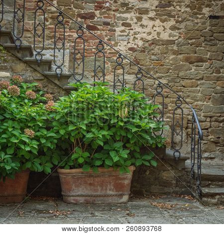 Flowers In Front Of Stone Wall In A Small Village Of Medieval Origin. Volpaia, Tuscany, Italy. Squar