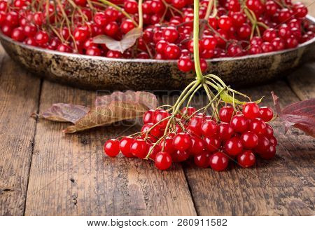 Red Guelder Rose Berries ( Viburnum Opulus ) On Old Wooden Background