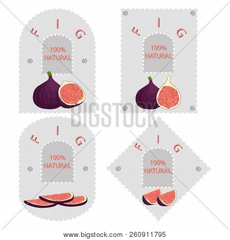 Vector Icon Illustration Logo For Whole Ripe Fruit Purple Fig, Slice Half Sycamine. Fig Pattern Cons