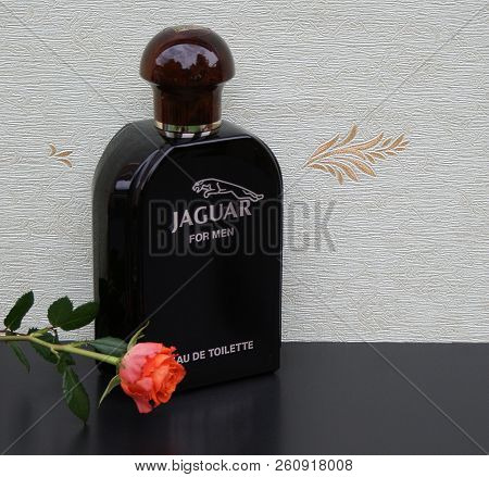 Jaguarfor Men, Eau De Toilette, Large Perfume Bottle In Front Of The Satin Wallcovering Elysee Decor
