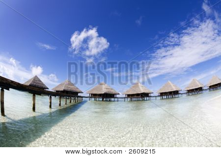 Tropical Beach