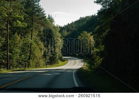 A Tortuous Road, Surrounded By The Cosiest Forest.
