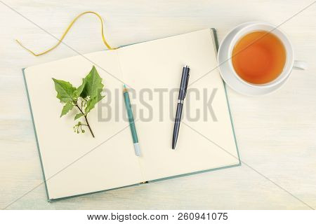 An Overhead Photo Of An Open Journal With A Branch With Green Leaves, A Pencil, A Pen, And A Cup Of 