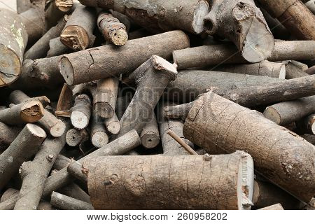 Stack Of Firewood For Putting It To Make Fuel,wood From The Rubber Tree.