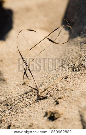Straw Shaped As Musical G Clave On Sandy Beach Grains Macro Closeup Background Texture