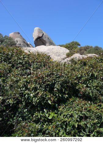 Granite Rocks With Mediterranean Vegetation, Capo Testa, Santa Teresa Gallura, Italy