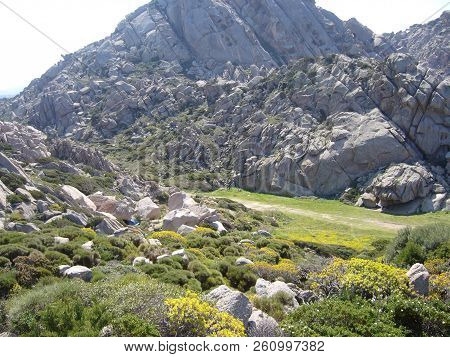 Granite Rocks With Mediterranean Vegetation, Capo Testa, Santa Teresa Gallura, Italy