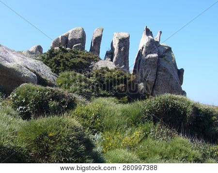 Granite Rocks With Mediterranean Vegetation, Capo Testa, Santa Teresa Gallura, Italy