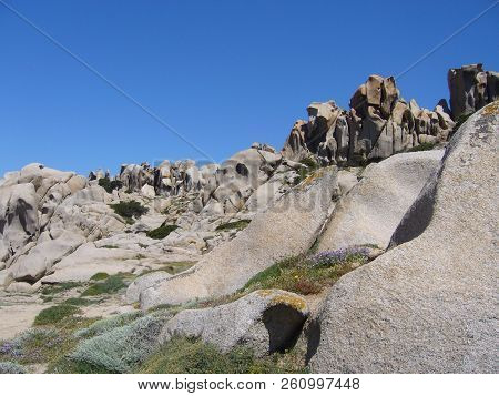 Granite Rocks With Mediterranean Vegetation, Capo Testa, Santa Teresa Gallura, Italy