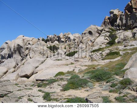 Granite Rocks With Mediterranean Vegetation, Capo Testa, Santa Teresa Gallura, Italy