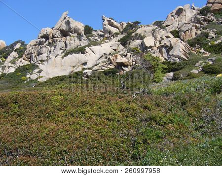 Granite Rocks With Mediterranean Vegetation, Moon's Valley, Capo Testa, Santa Teresa Gallura, Italy