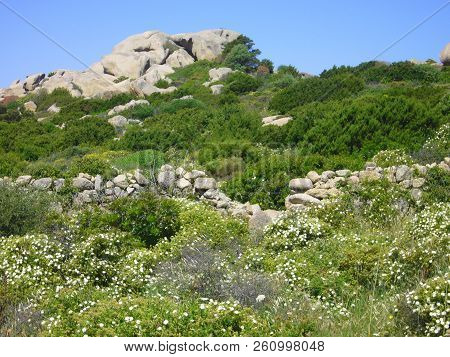 Granite Rocks With Mediterranean Vegetation, Moon's Valley, Capo Testa, Santa Teresa Gallura, Italy