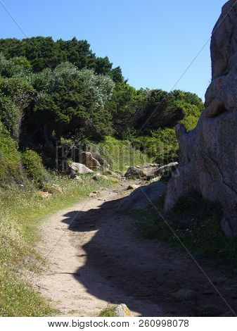 Granite Rocks With Mediterranean Vegetation, Moon's Valley, Capo Testa, Santa Teresa Gallura, Italy