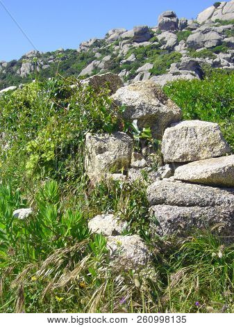 Granite Rocks With Mediterranean Vegetation, Moon's Valley, Capo Testa, Santa Teresa Gallura, Italy