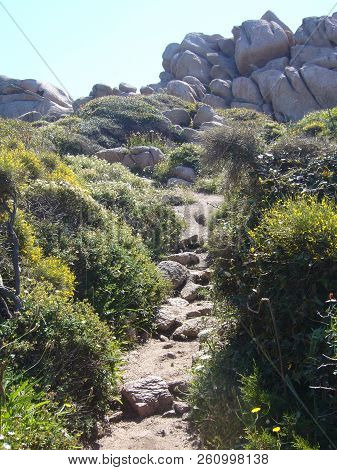 Granite Rocks With Mediterranean Vegetation, Moon's Valley, Capo Testa, Santa Teresa Gallura, Italy
