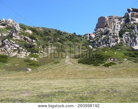 Granite Rocks With Mediterranean Vegetation, Moon's Valley, Capo Testa, Santa Teresa Gallura, Italy
