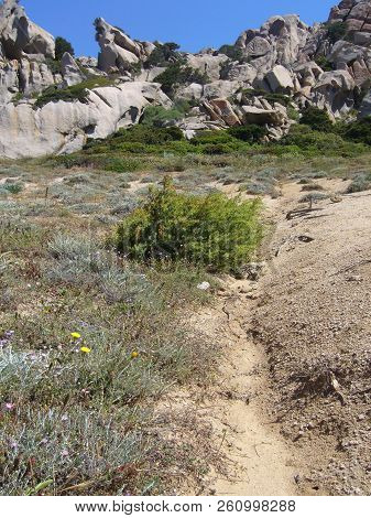 Granite Rocks With Mediterranean Vegetation, Moon's Valley, Capo Testa, Santa Teresa Gallura, Italy
