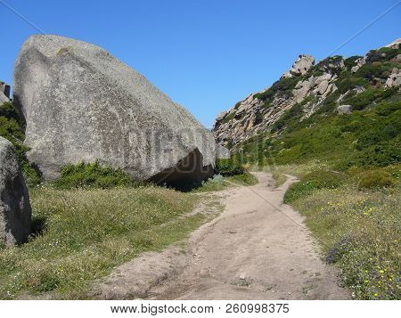 Granite Rocks With Mediterranean Vegetation, Moon's Valley, Capo Testa, Santa Teresa Gallura, Italy
