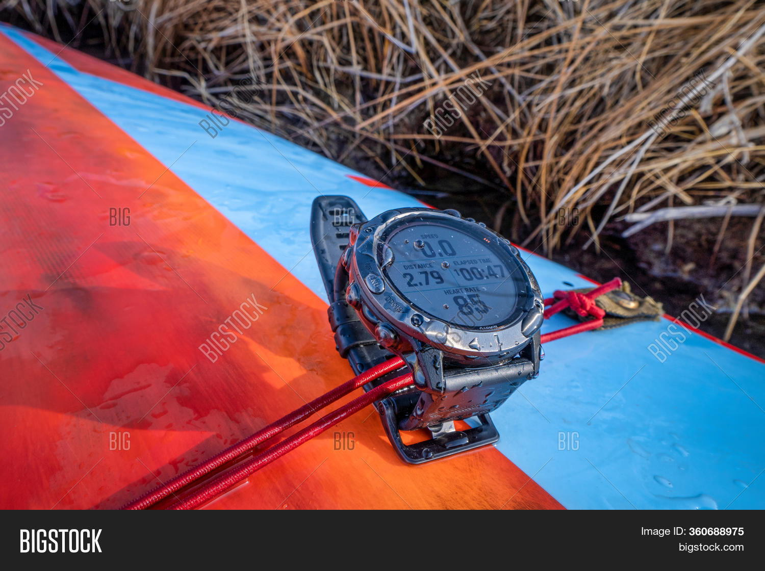garmin stand up paddle
