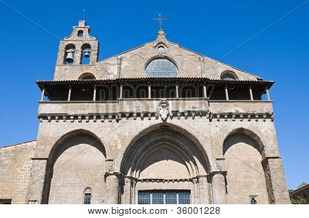 Basilica of St. Flaviano. Montefiascone. Lazio. Italien.