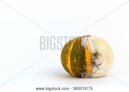 Moldy Pumpkin On A White Background With Copy Space. Ugly Food. Front View