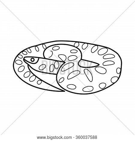 Vector Illustration Of Python And Reptile Logo. Web Element Of Python And Long Vector Icon For Stock