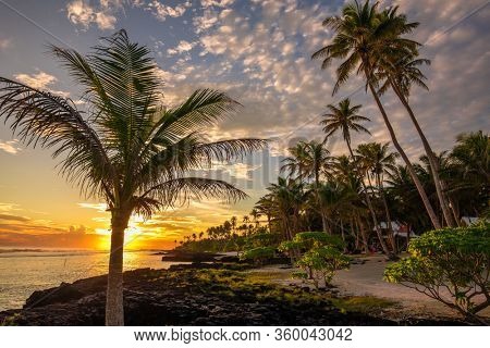 Coconut palm trees on the beach during the sunrise on Upolu, Samoa Islands.