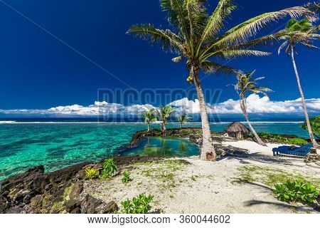 Vibrant tropical beach with palm trees, Upolu, Samoa.