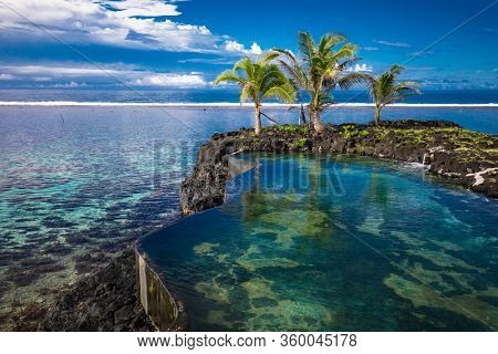 Vibrant tropical beach with palm trees, Upolu, Samoa.
