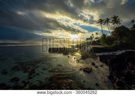 Coconut palm trees on the beach during the sunrise on Upolu, Samoa Islands.