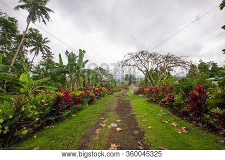 Forest road on Upolu, Samoa Island.