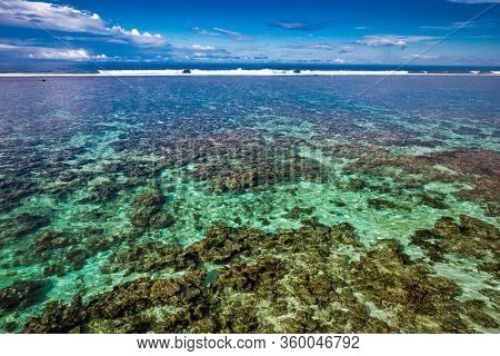 Vibrant tropical beach with palm trees, Upolu, Samoa.