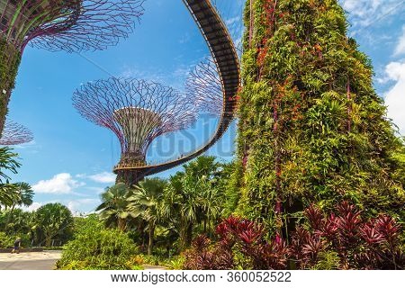 Gardens By The Bay In Singapore