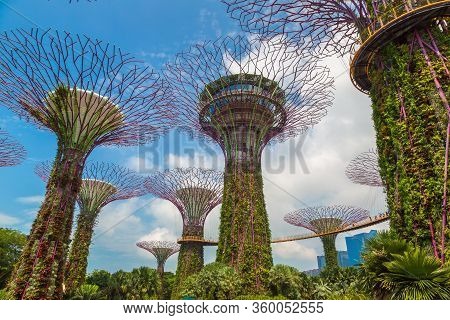 Gardens By The Bay In Singapore