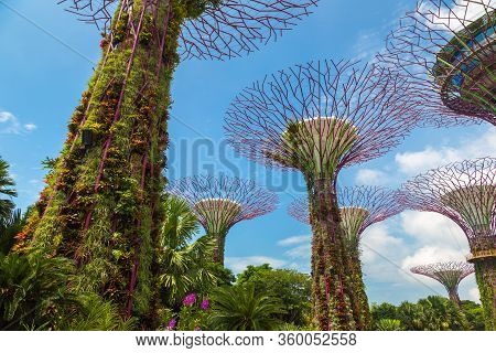 Gardens By The Bay In Singapore