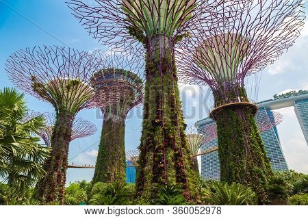 Gardens By The Bay In Singapore