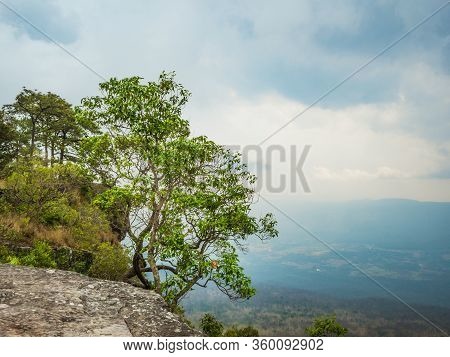 Beautiful Scenery View From Phu Kradueng Mountain National Park In Loei City Thailand.phu Kradueng M