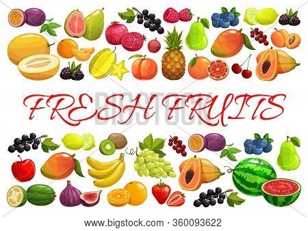 Fruits And Berries, Exotic Tropical Garden And Farm Market Harvest, Vector Poster. Tropic Pineapple,