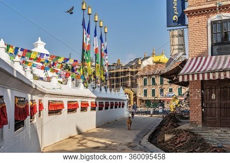 March 25, 2020. Kathmandu, Nepal. The ​​stupa Bouda Closed On Quarantin. A Lonely Dog  Walking Aroun
