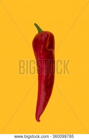 Red Ramiro Pepper On A Yellow Background. Ripe Juicy Appetizing Long Red Pepper Isolated On Yellow. 