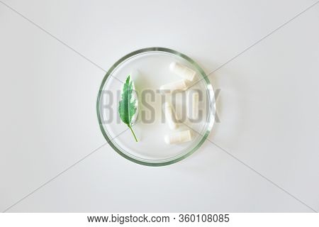 Probiotic Supplement In Capsules And Plant Leaf In Glass Petri Dish On White Background, Above. Conc