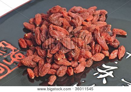 Goji-bær, Lycium Barbarum