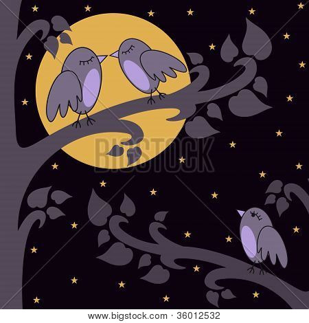 Night-birds