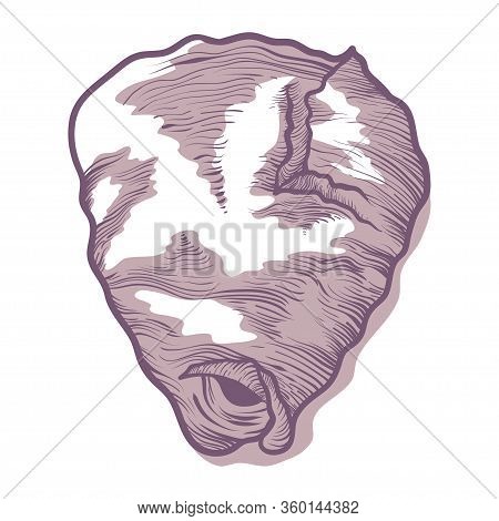 Vespiary, Wasp Nest Icon, Wildlife And Entomology Concept