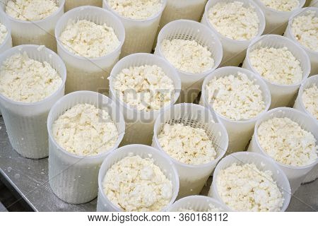 Stage In Production Of Cheese - Forming Pressing Of Cheese Mass. Cheese Grains About 6 Mm In Size In