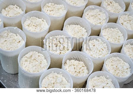 Stage in production of cheese - Forming pressing of cheese mass. Cheese grains about 6 mm in size in